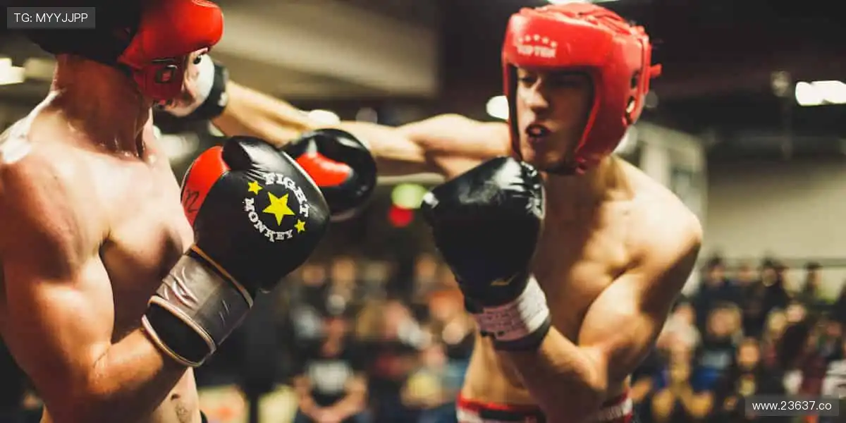 精彩纷呈，影视盛宴！🎥✨